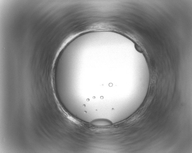 X0000055991486200509162238