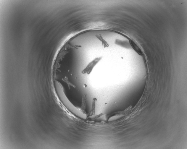 X0000055991488200509162238