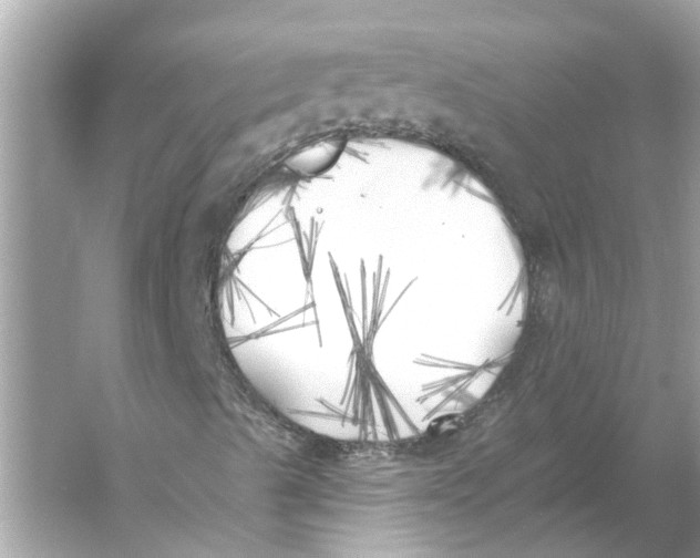 X0000055991489200509162237