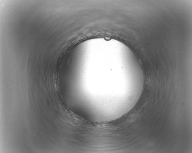 X0000055991490200509162237