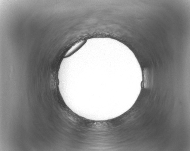 X0000055991491200509162237