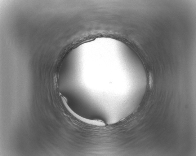 X0000055991492200509162238