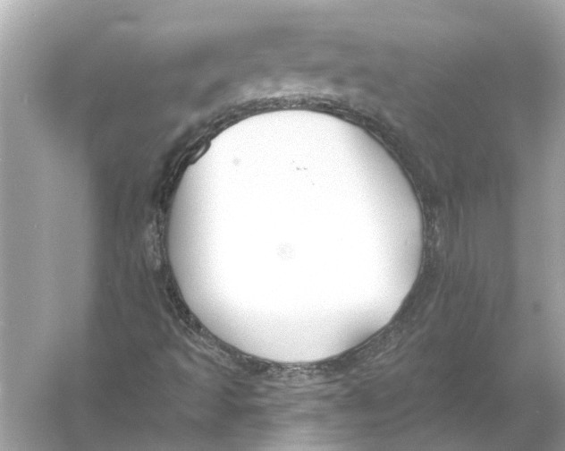 X0000055991493200509162238