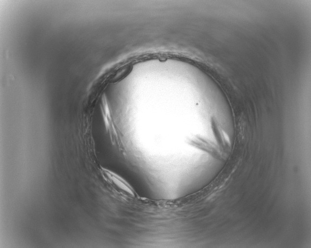 X0000055991494200509162238