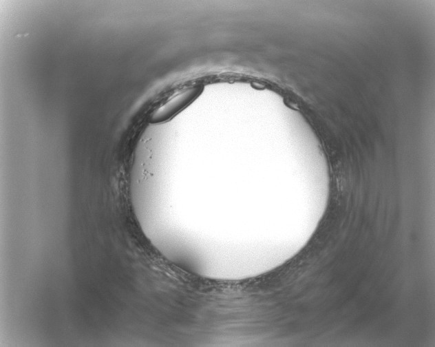 X0000055991495200509162238