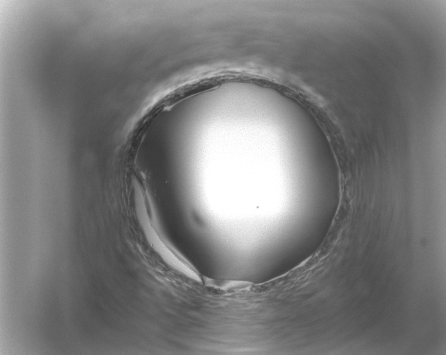 X0000055991496200509162238