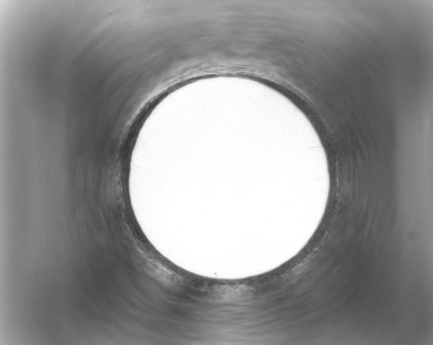 X0000055991498200509162238