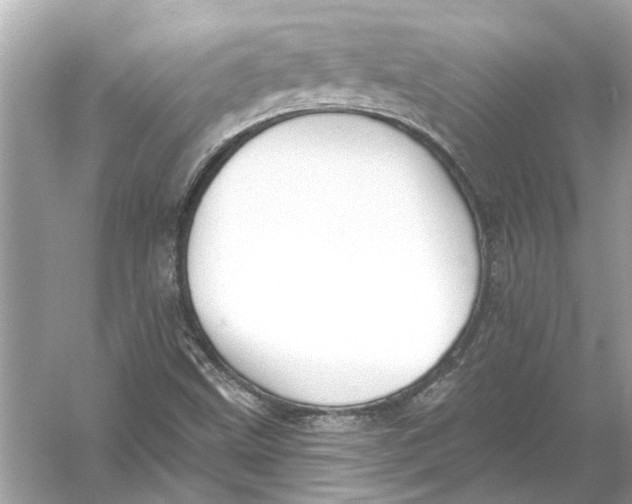 X0000055991499200509162238