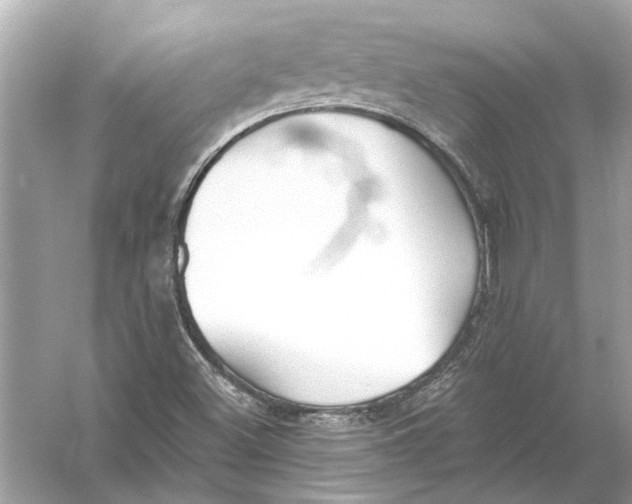 X0000055991500200509162238