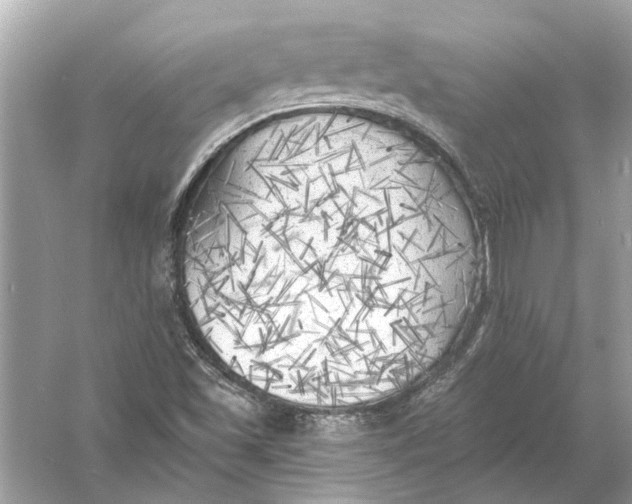 X0000055991501200509162238