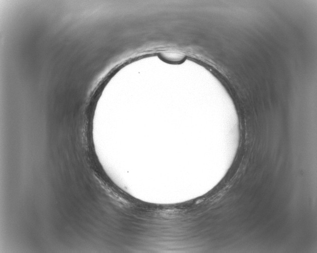 X0000055991502200509162238