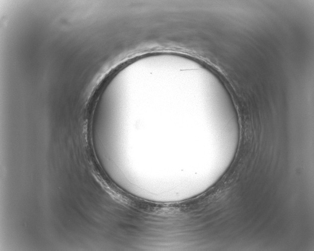 X0000055991503200509162238