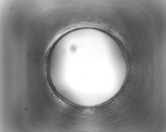 X0000055991504200509162238