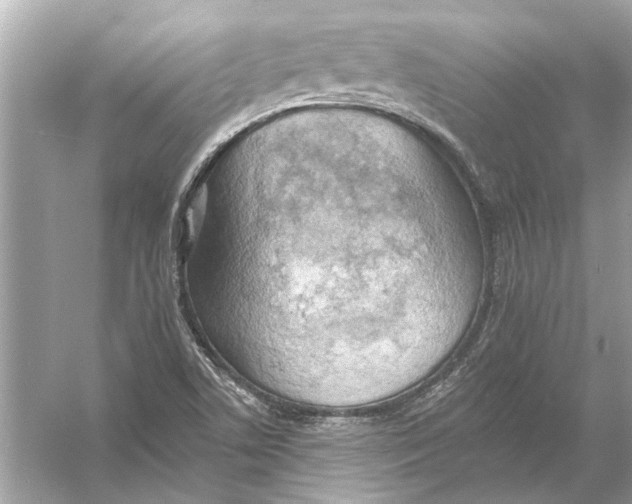 X0000055991506200509162238