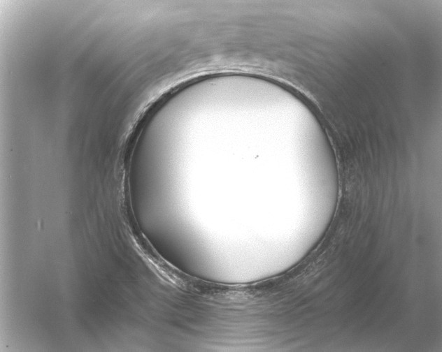 X0000055991507200509162238