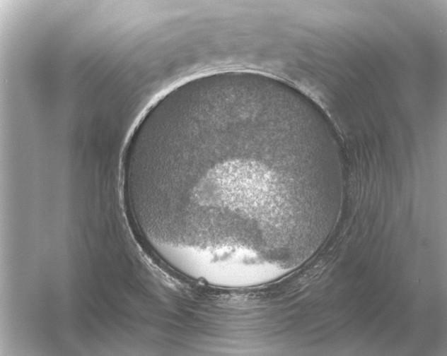 X0000055991508200509162238