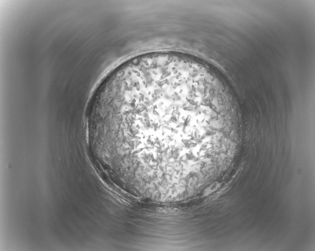 X0000055991509200509162238