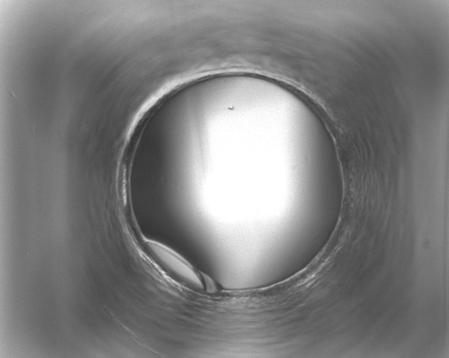 X0000055991510200509162238