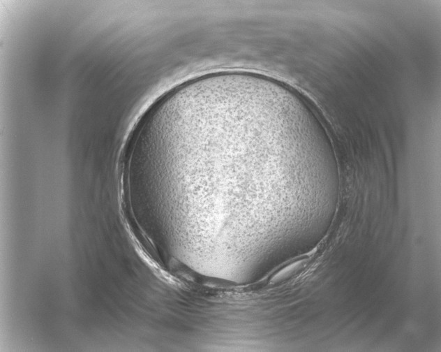 X0000055991511200509162238