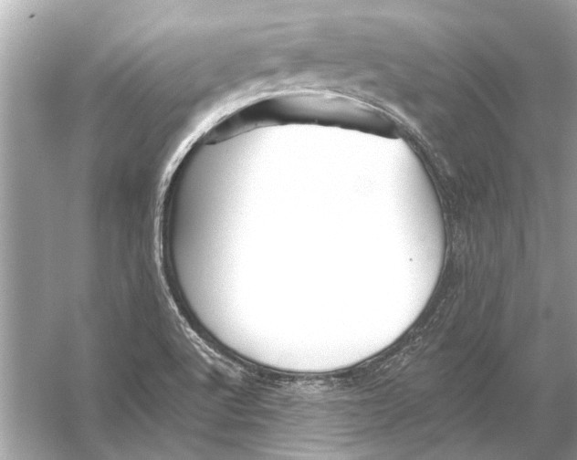 X0000055991512200509162238