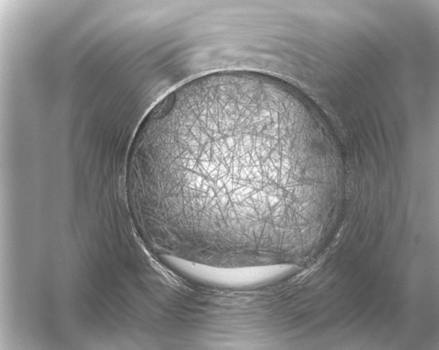 X0000055991513200509162238