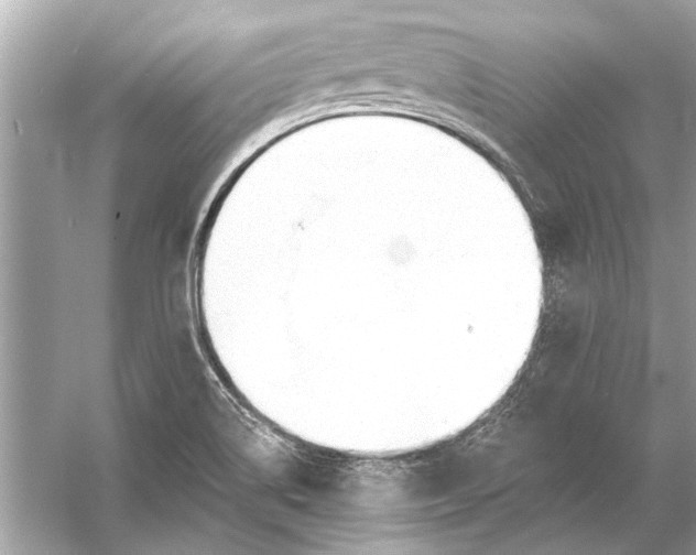 X0000055991514200509162238