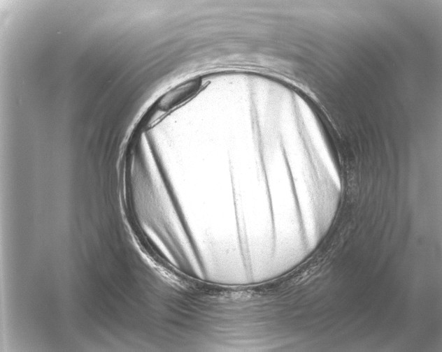 X0000055991515200509162238