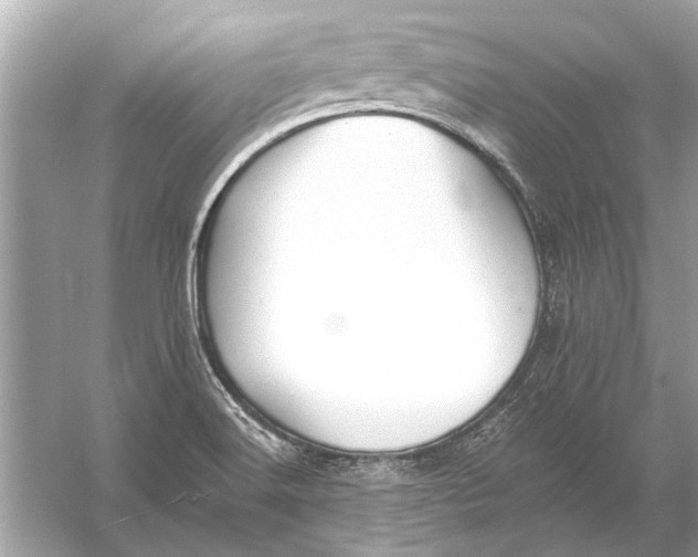 X0000055991516200509162238