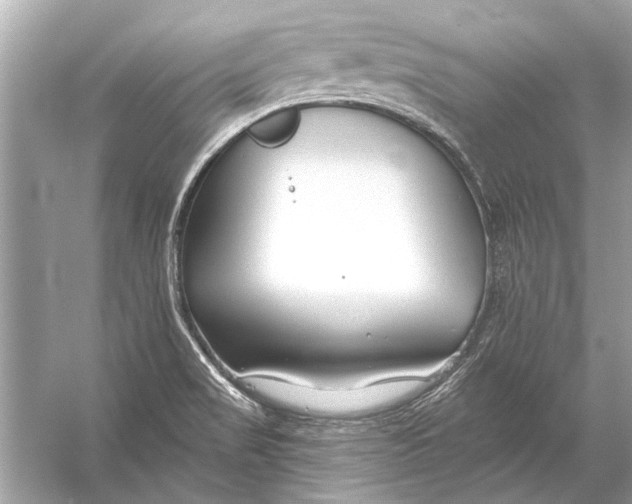 X0000055991517200509162238