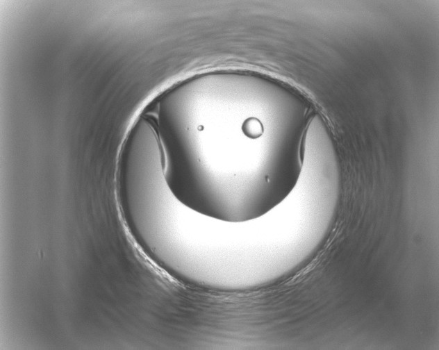 X0000055991518200509162238