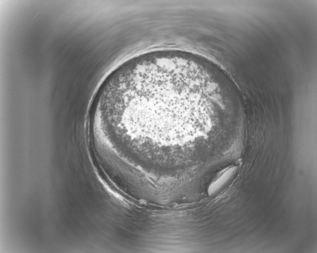 X0000055991519200509162238