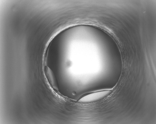 X0000055991520200509162238