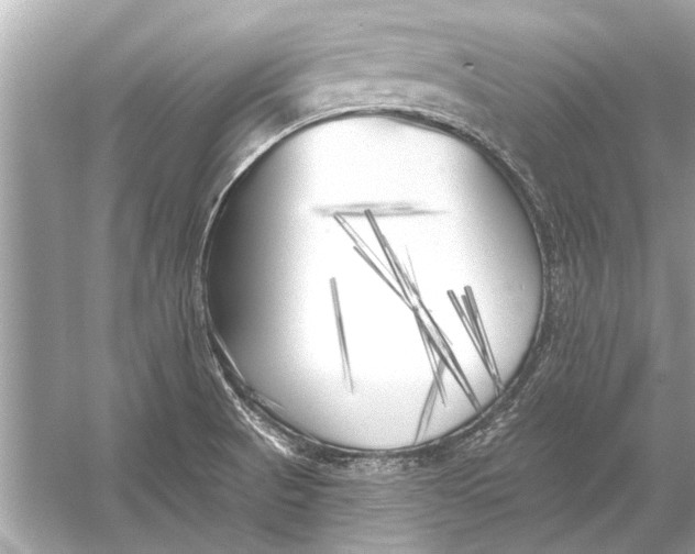 X0000055991521200509162238