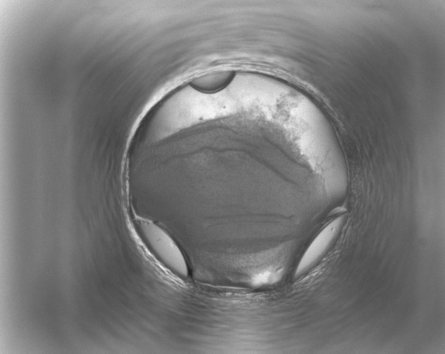 X0000055991522200509162238