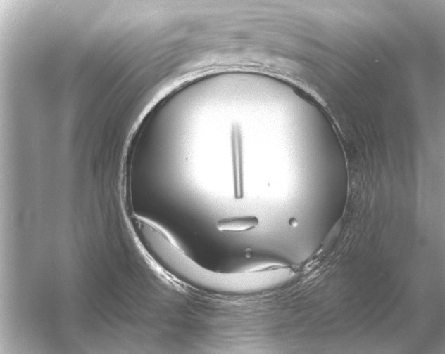 X0000055991523200509162238