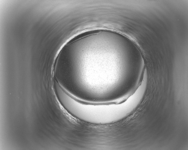 X0000055991524200509162238