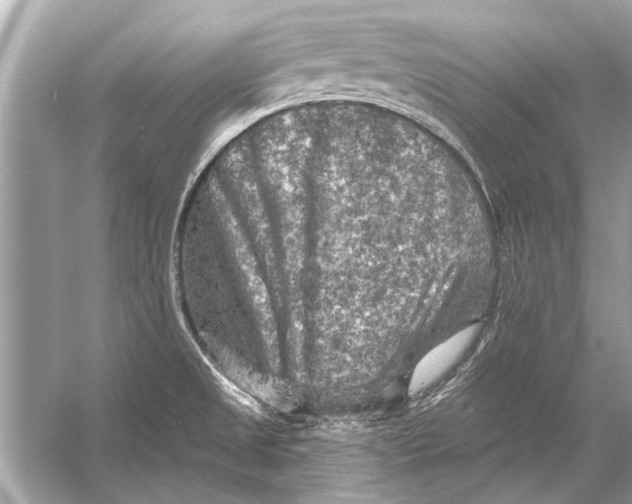 X0000055991525200509162238