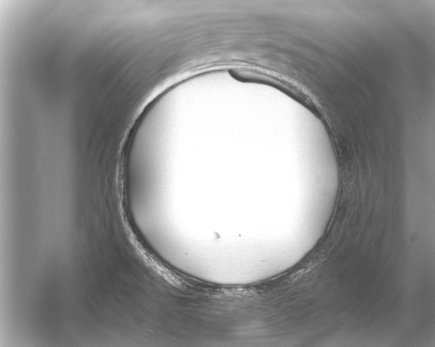 X0000055991526200509162238