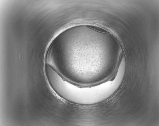 X0000055991528200509162238