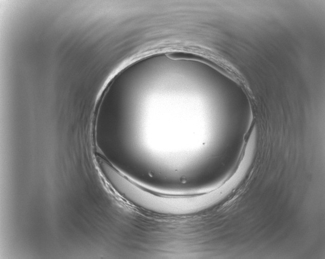 X0000055991530200509162238