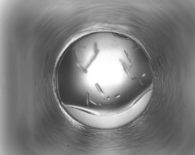 X0000055991531200509162238