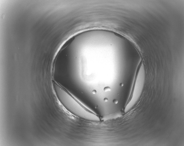 X0000055991532200509162238