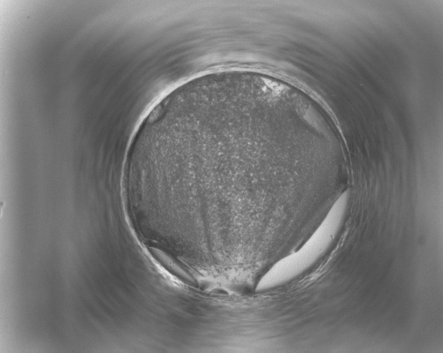 X0000055991533200509162238