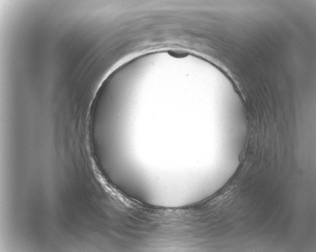 X0000055991534200509162238