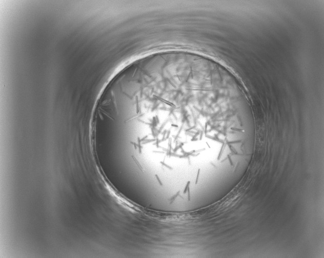 X0000055991535200509162238