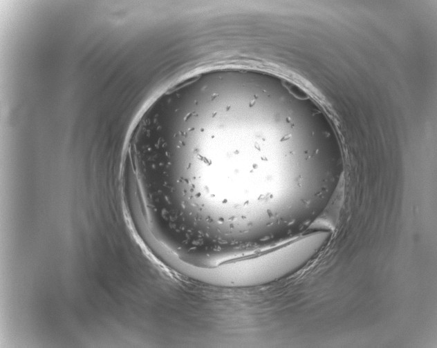 X0000055991536200509162238