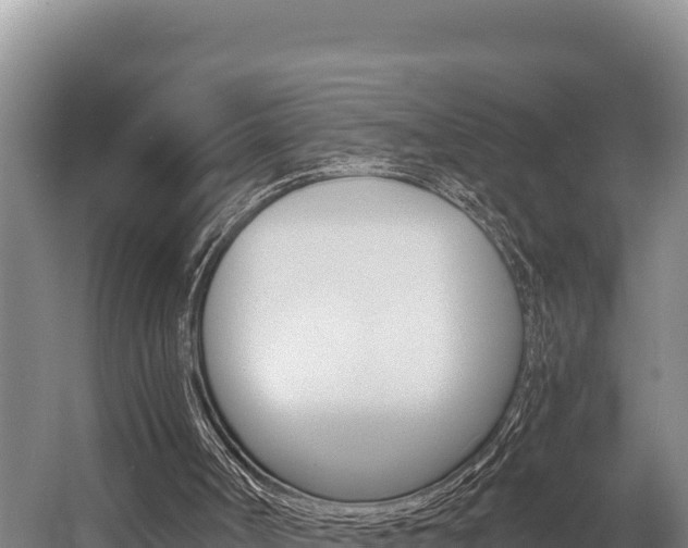 X0000056000002200508190833