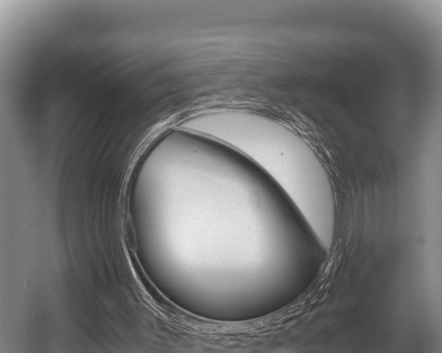 X0000056000003200508190833