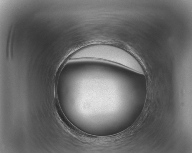 X0000056000011200508190833