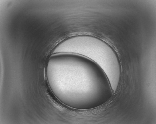 X0000056000013200508190833